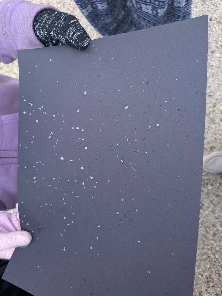 Snowflake catching in 4th grade!