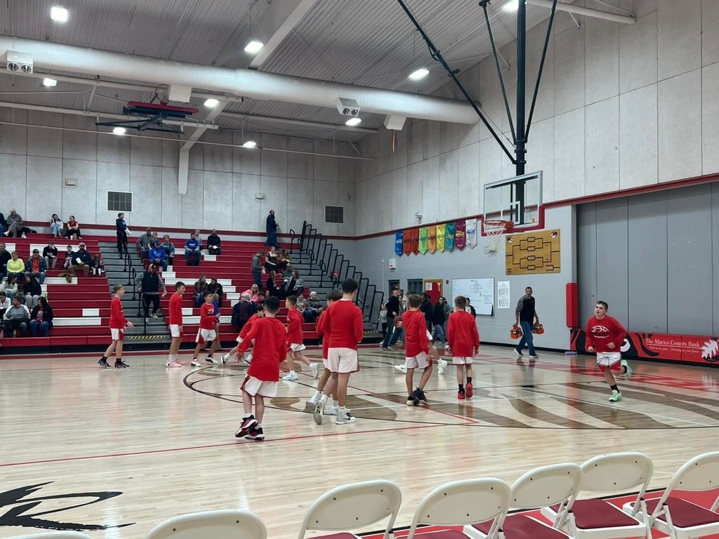 Tiger Weekly Highlights!