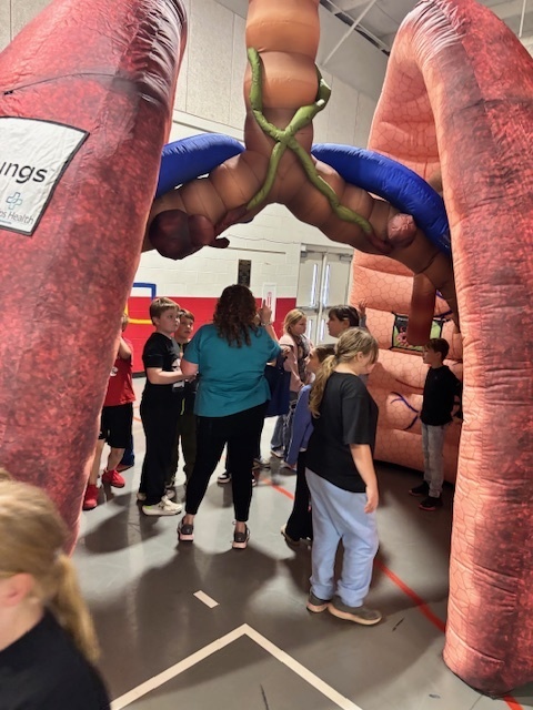 Phelps Health brings giant organs for 3rd grade students. 