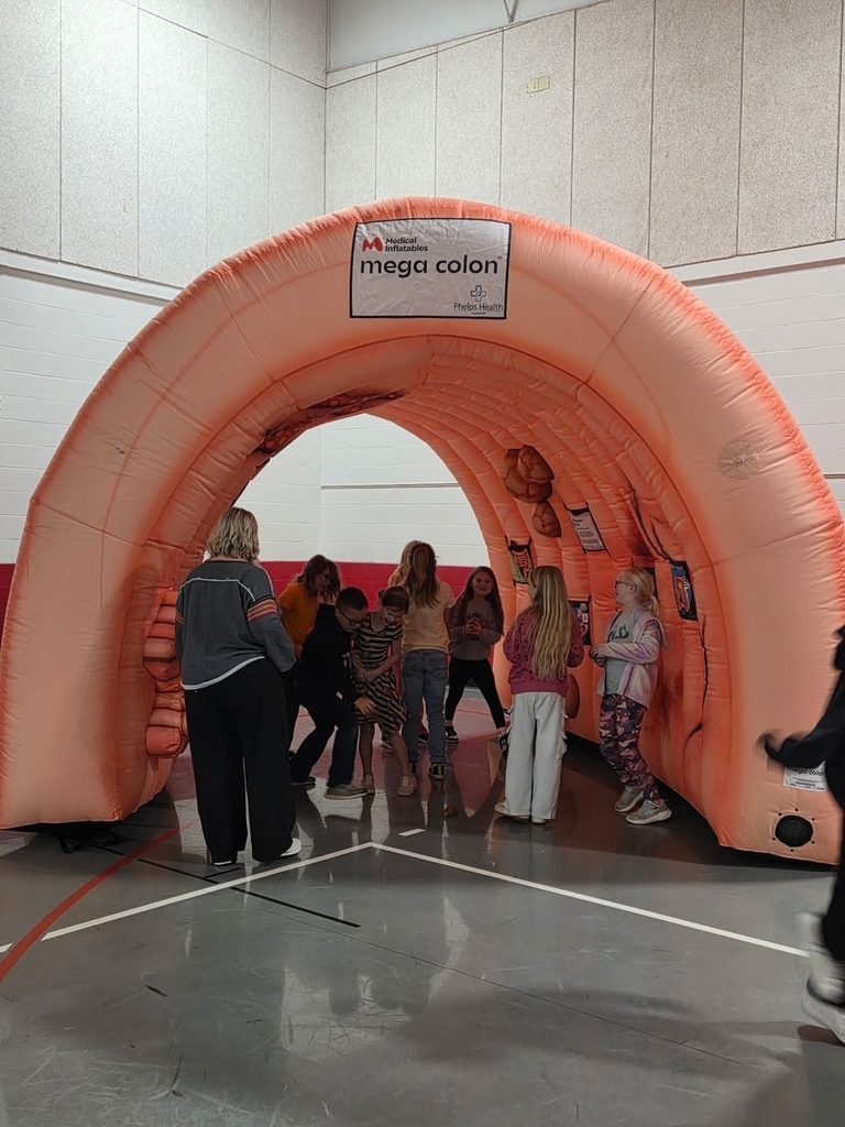Phelps Health brings giant organs for 3rd grade students. 