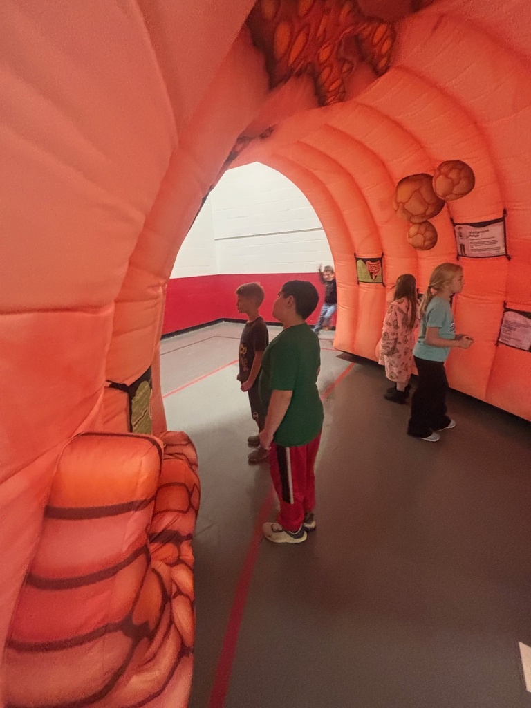 Phelps Health brings giant organs for 3rd grade students. 
