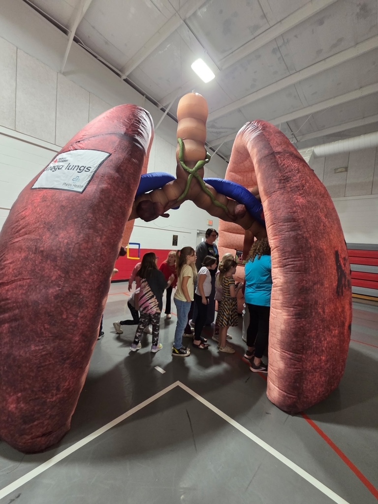 Phelps Health brings giant organs for 3rd grade students. 