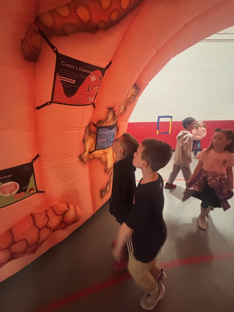 Phelps Health brings giant organs for 3rd grade students. 
