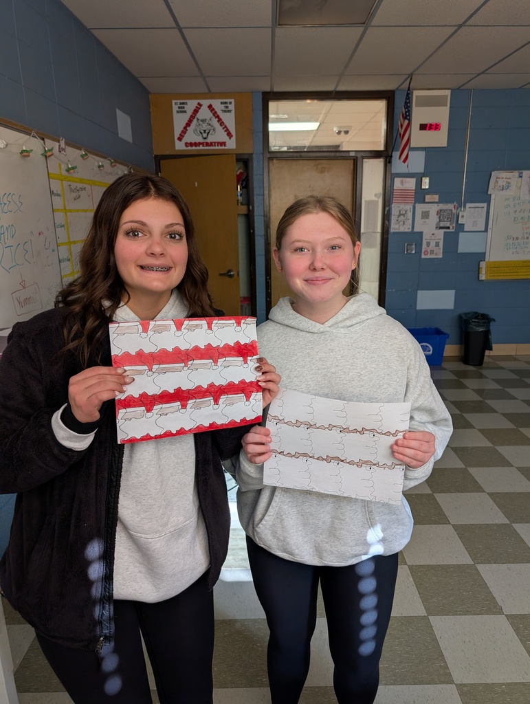 Math project at St. James High schools gets creative.