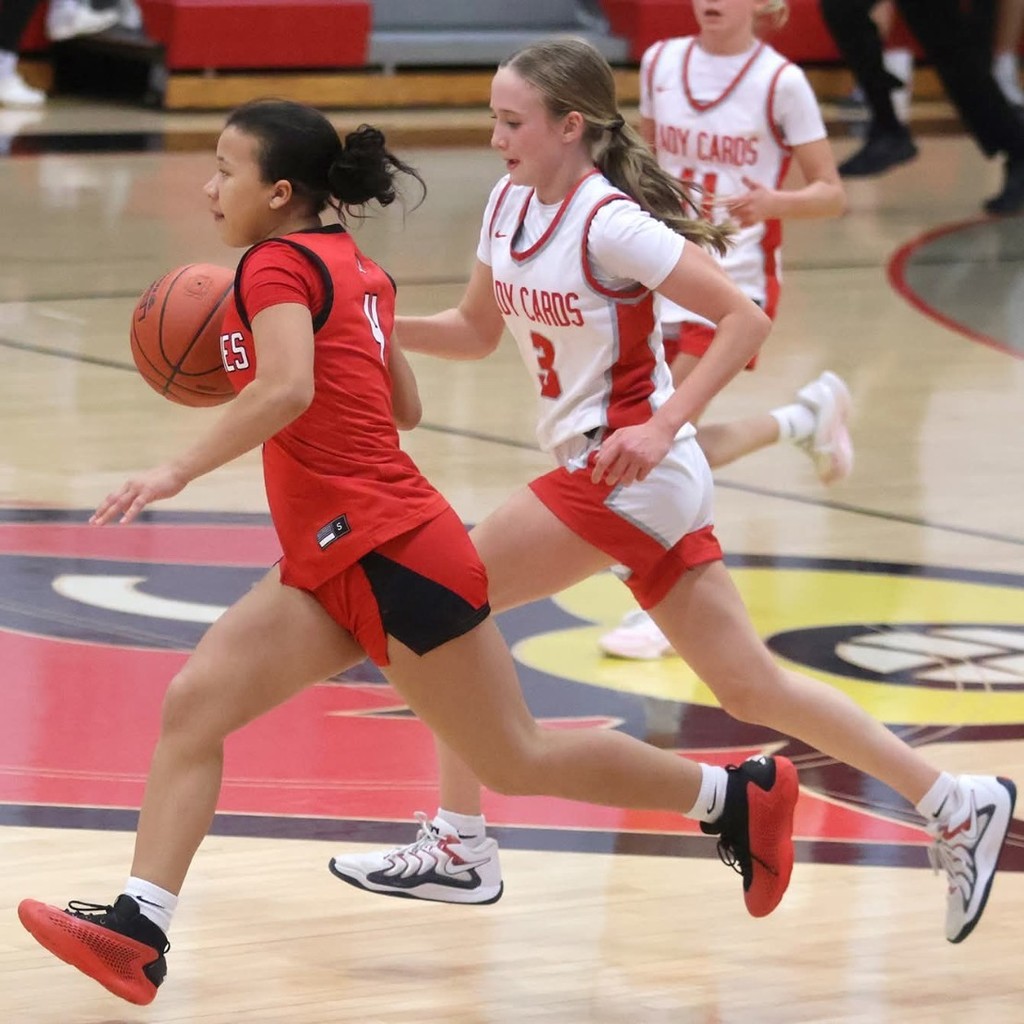 Tiger Weekly Highlights!