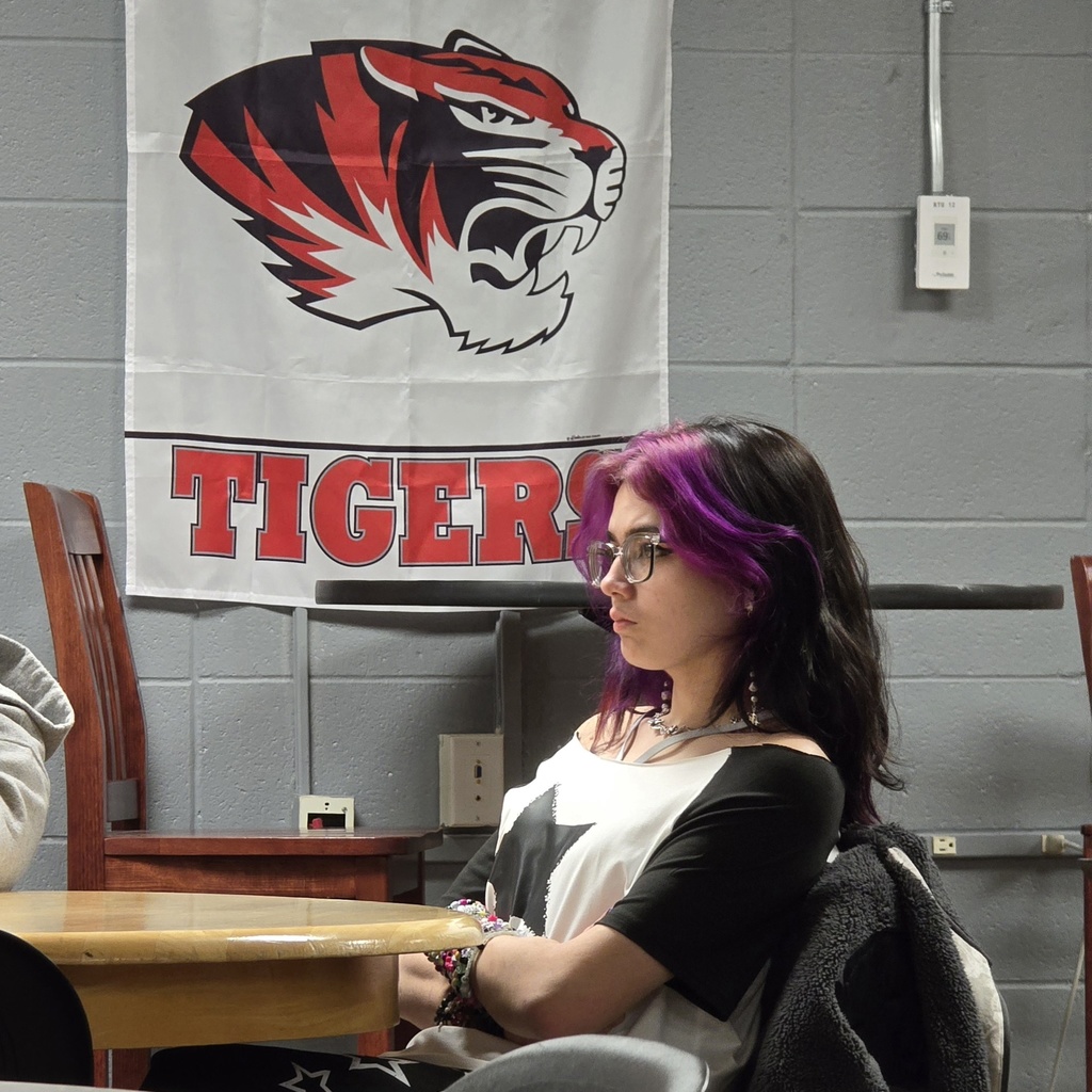 Mythology students learn about graphic novels in the high school library. 