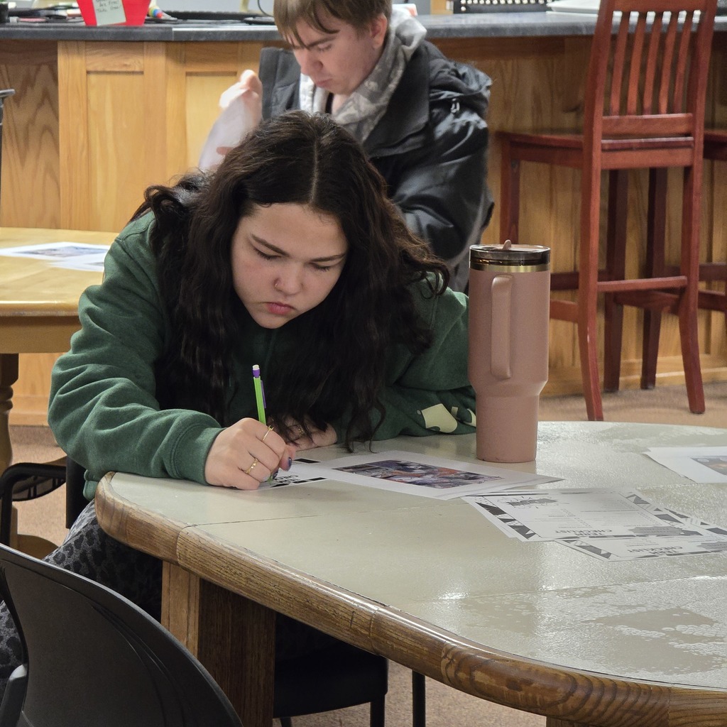Mythology students learn about graphic novels in the high school library. 