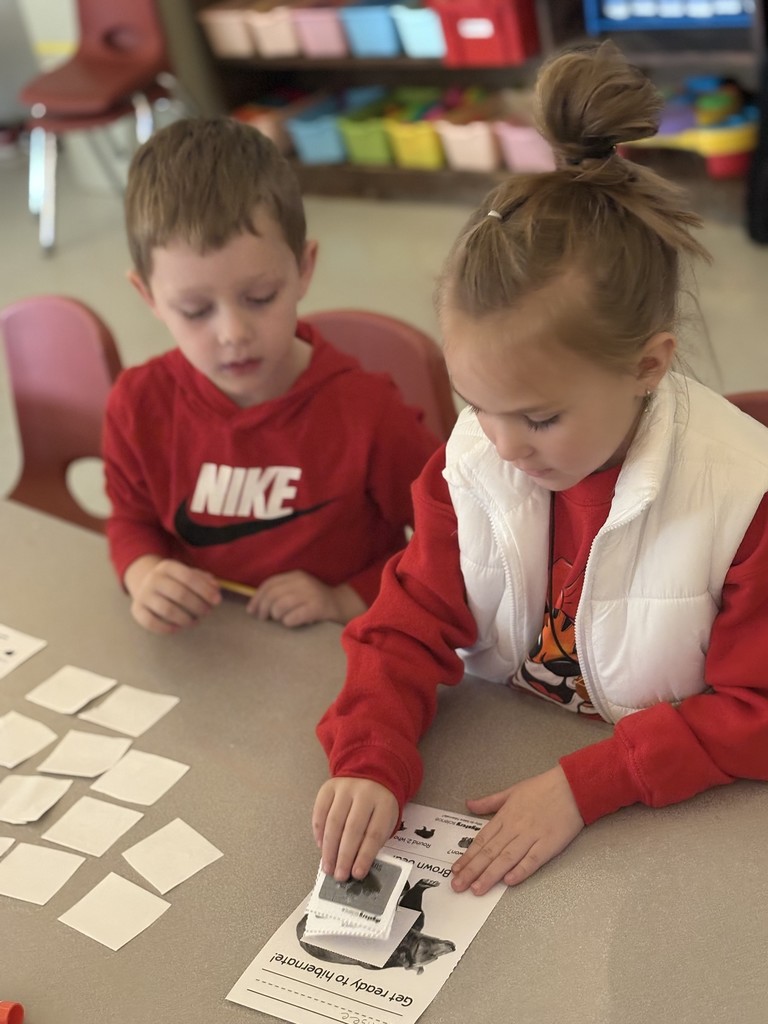 Hibernation lesson in kindergarten class.