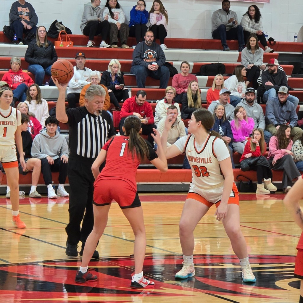 Tiger Weekly Highlights