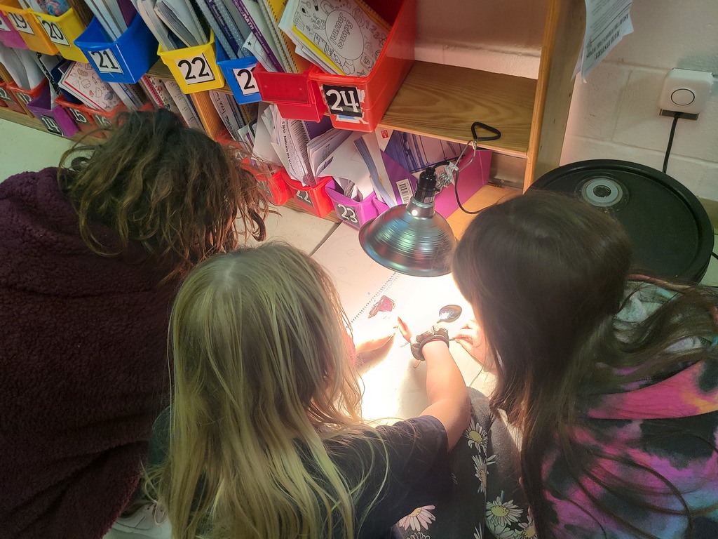 Critical Thinking with 5th grace students as they do science experiements.