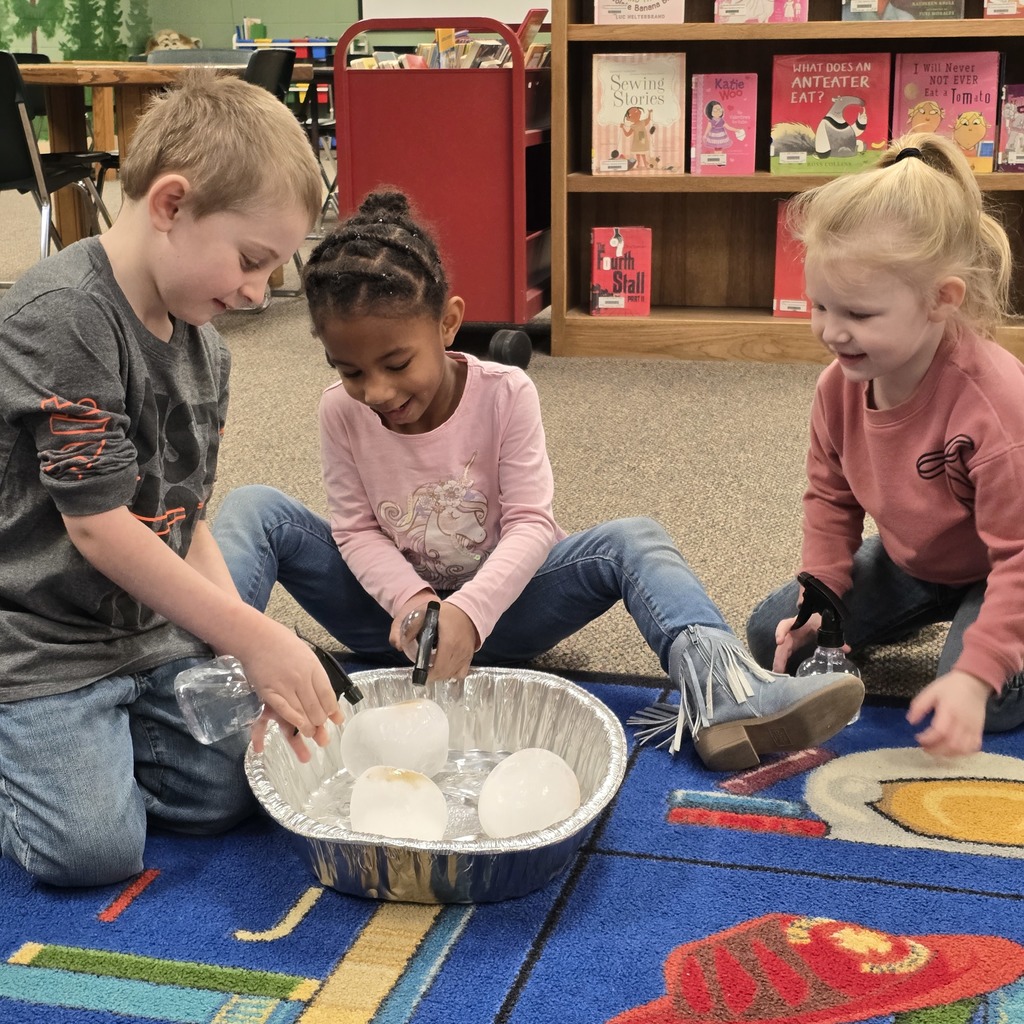 Tiger Cubs gets hands on at the library with dinosaur activity. 