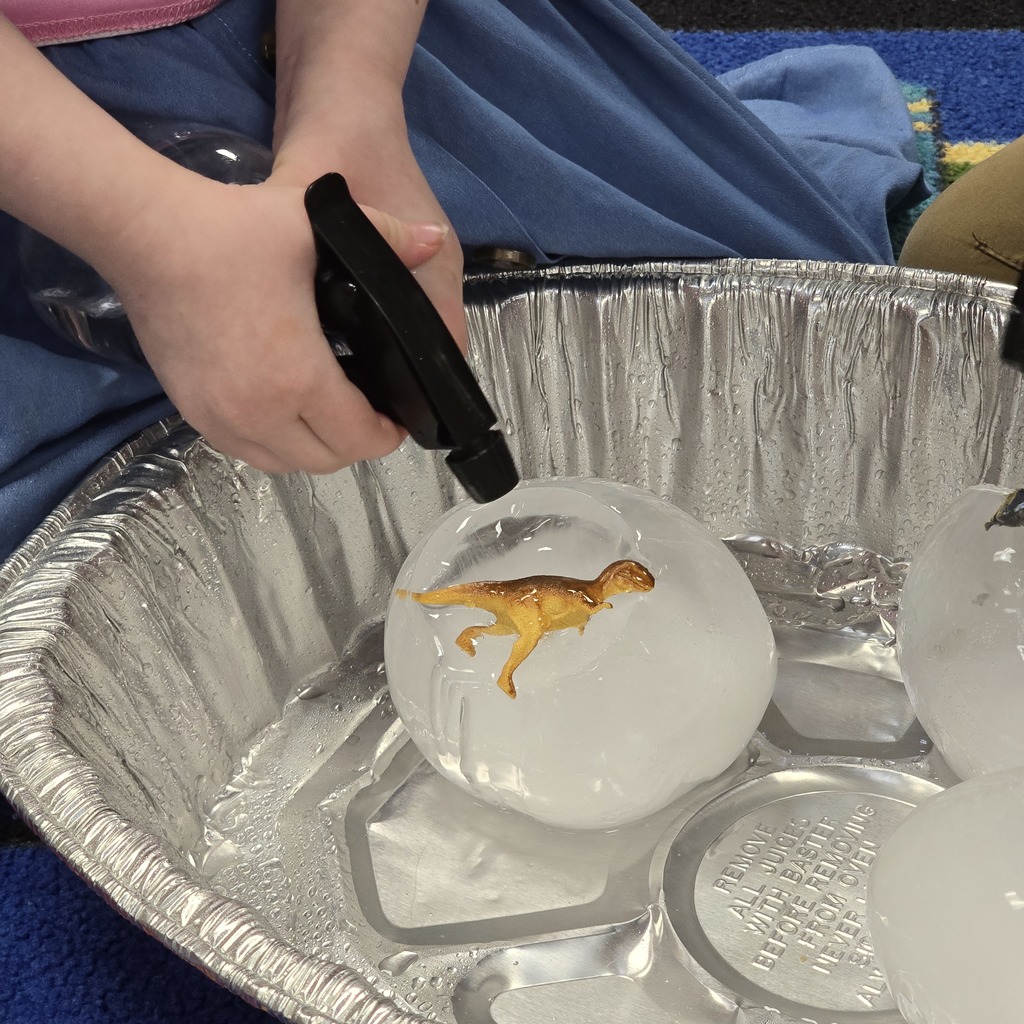 Tiger Cubs gets hands on at the library with dinosaur activity. 