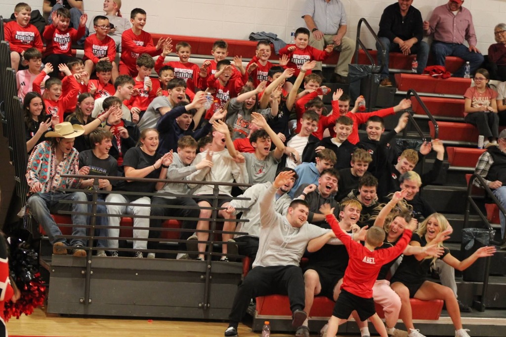 Tiger Weekly Highlights!