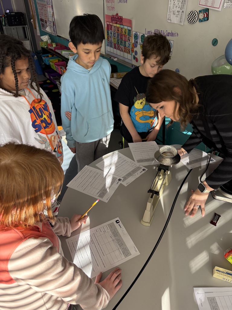 5th grade students test weight of materials in science.