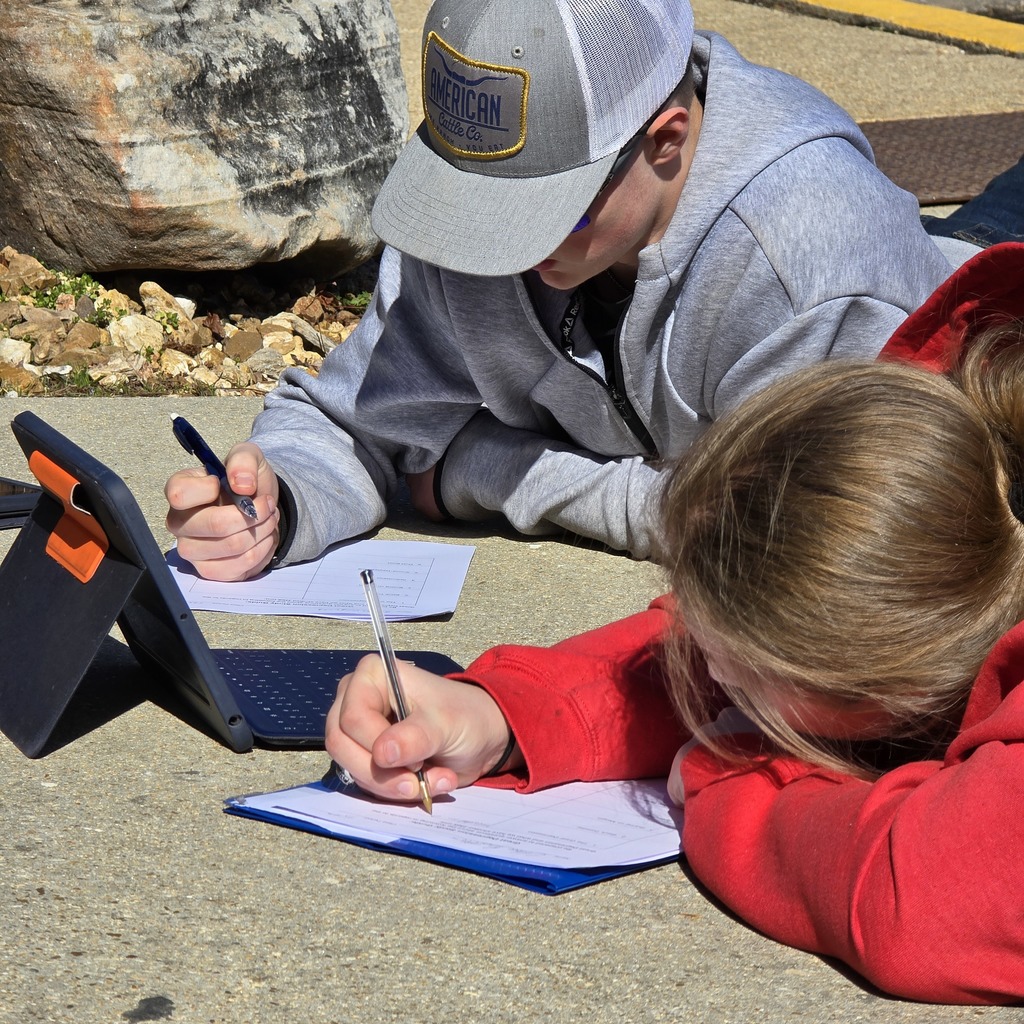 Students enjoy the warm winter weather by studying outside.