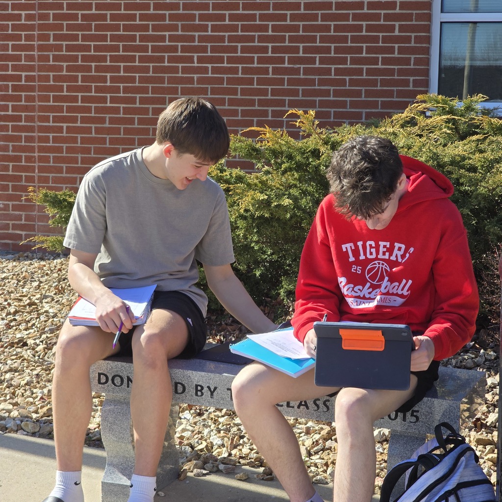 Students enjoy the warm winter weather by studying outside.