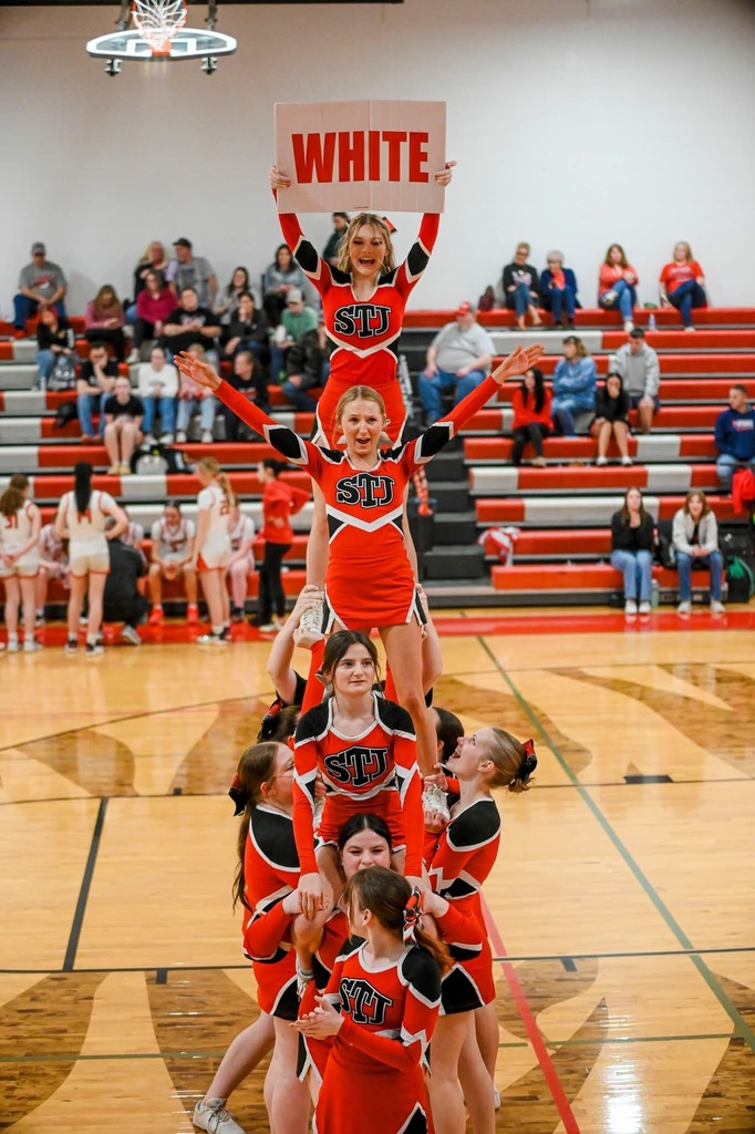 Tiger Weekly Highlights!