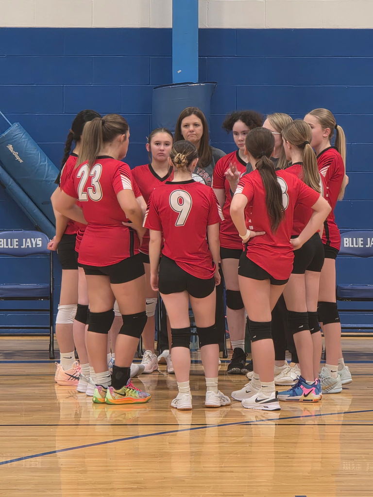 Tiger Weekly Highlights!