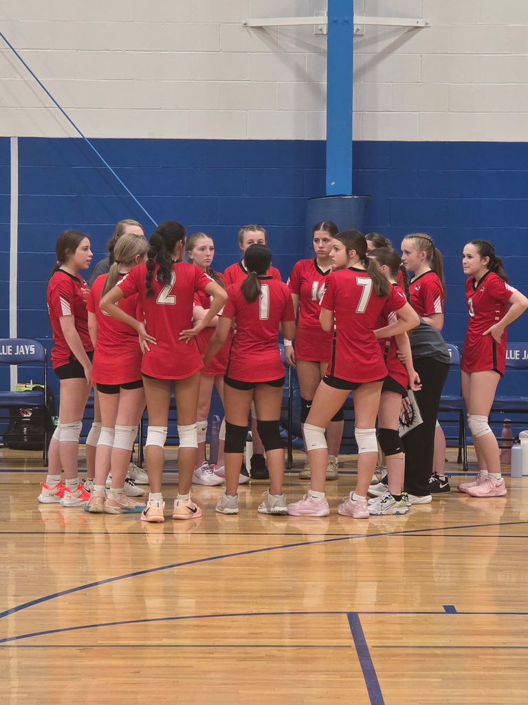 Tiger Weekly Highlights!