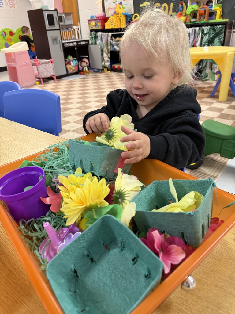 Toddler in a classroom playing with flowers in a large orange tray with green containers.