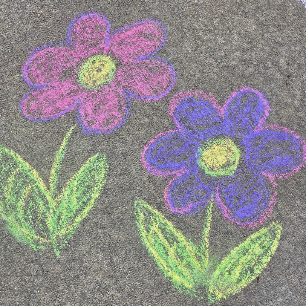 Two chalk flowers, one pink and purple, the other blue and yellow, drawn on concrete.