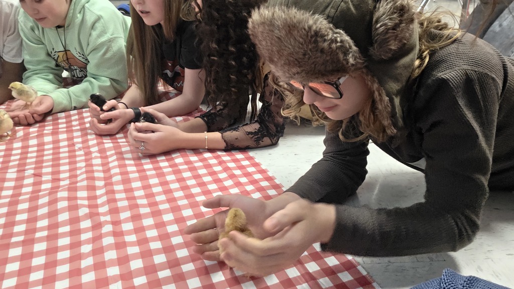 Several people sit around a table, examining items. One holds a potato in her hands.