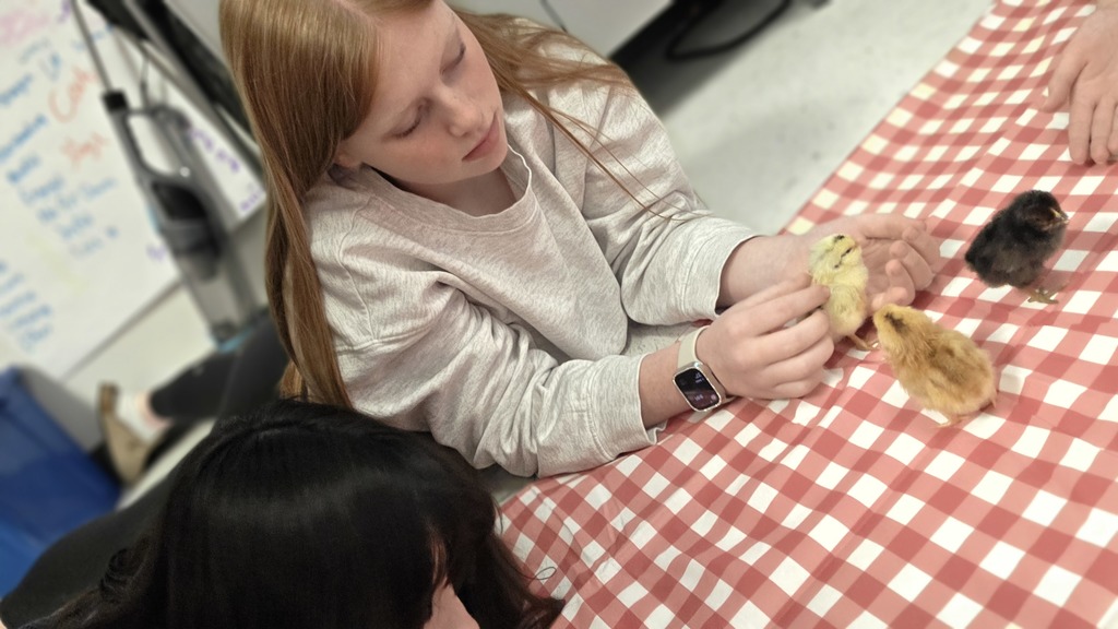 A girl holds a banana peel while another girl, with black hair, peers over her shoulder.