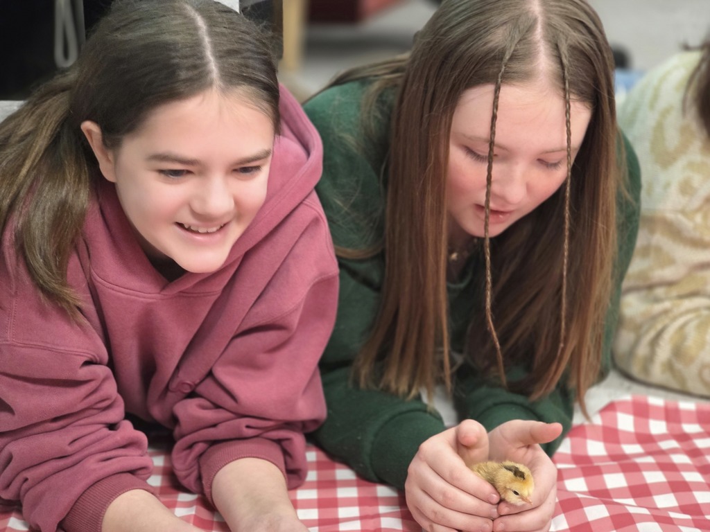 Two young girls examine a small reptile on a table, one wearing a pink hoodie, the other a green long-sleeved shirt.