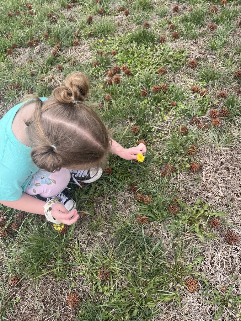 A child in a blue shirt and sneakers is crouched on grass, holding a yellow object.