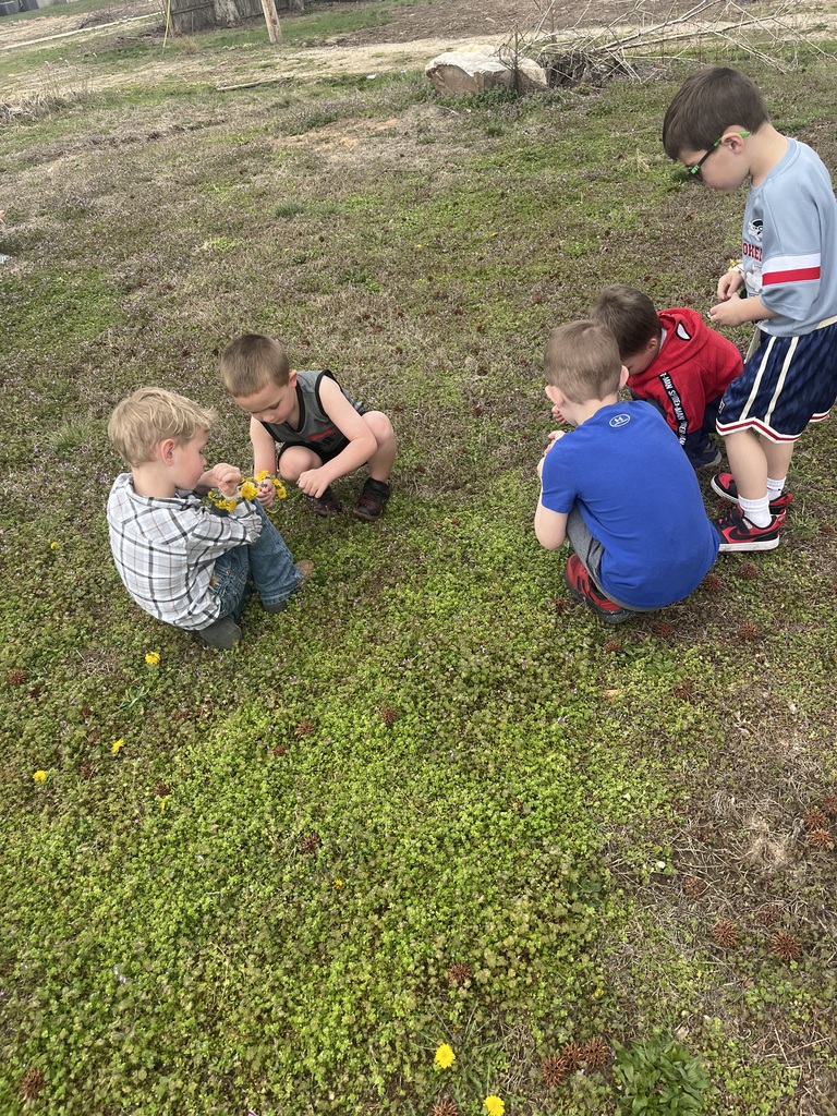 kids are picking flowers in a field