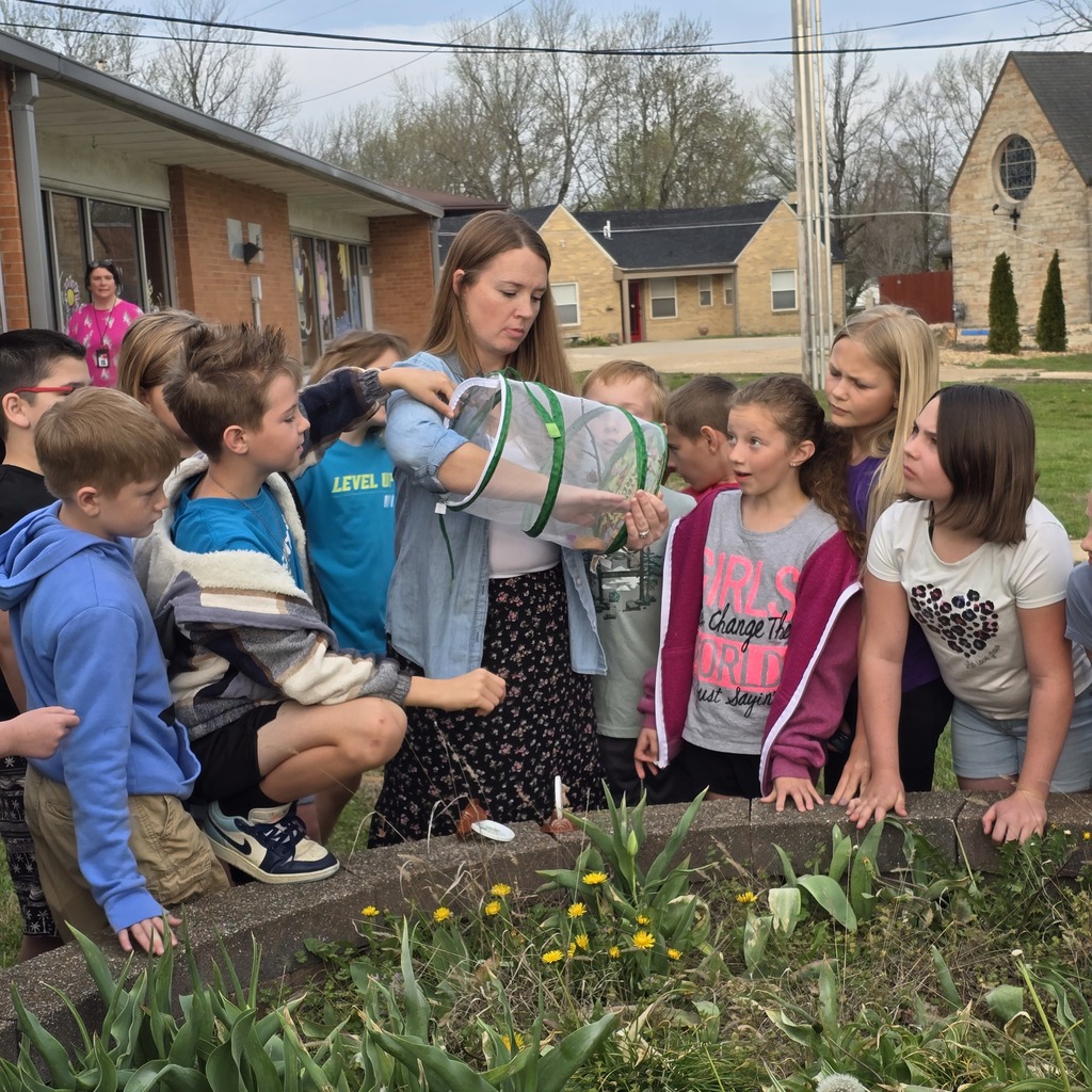 A group of children and an adult are gathered around a raised garden area, observing a butterfly.
