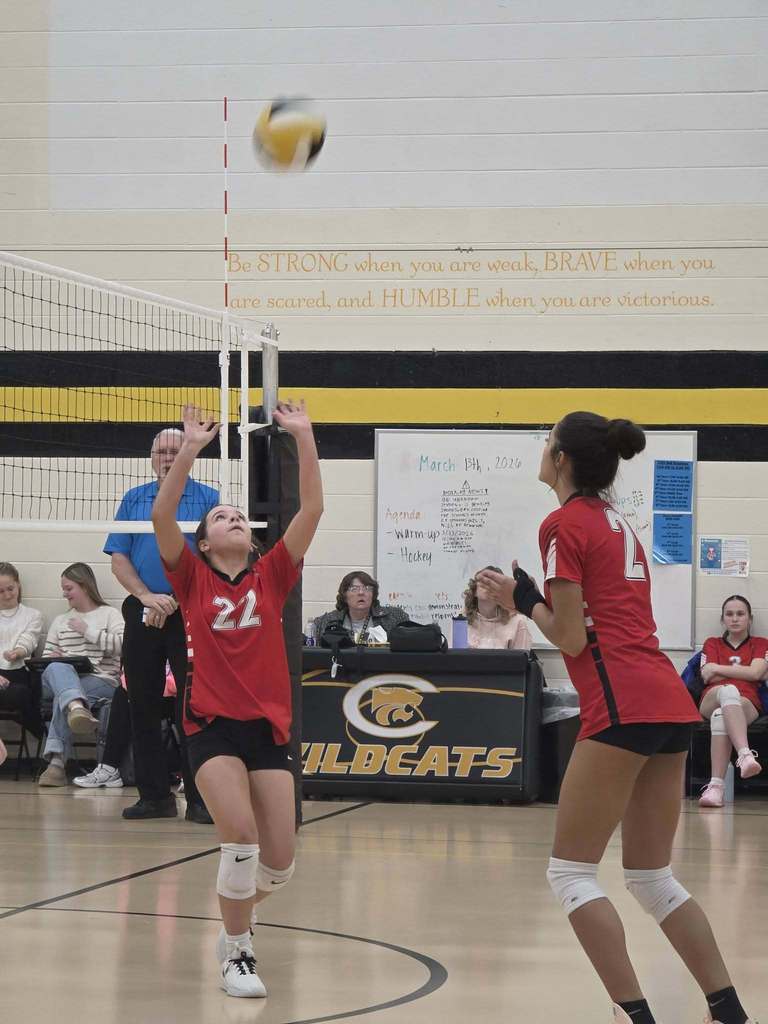 A volleyball player in red with number 22 jumps to hit the ball over the net. Another player stands ready.