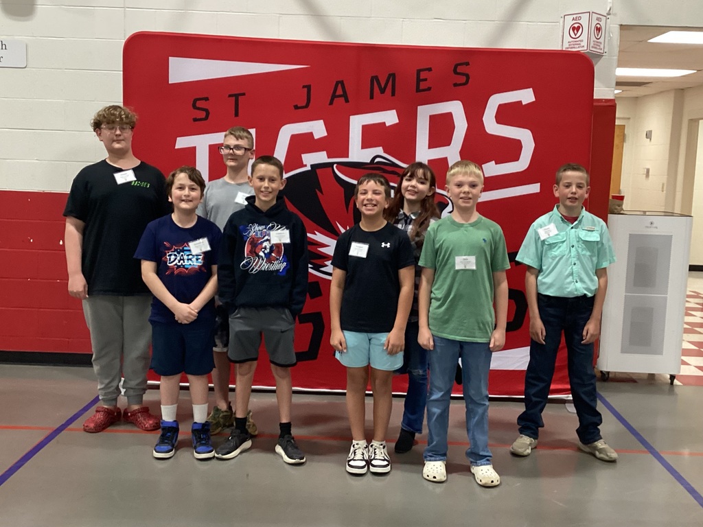 Seven children stand in a group in front of a red banner that says "St James Tigers".