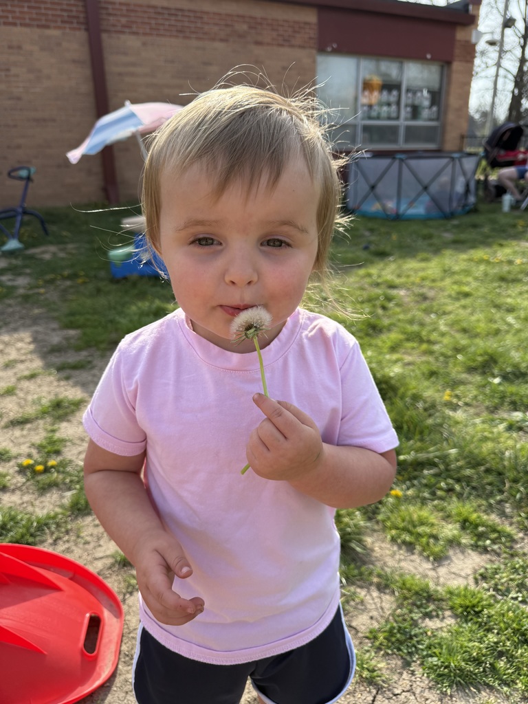A young child in a pink shirt holds a dandelion in their hand, standing in a grassy area.