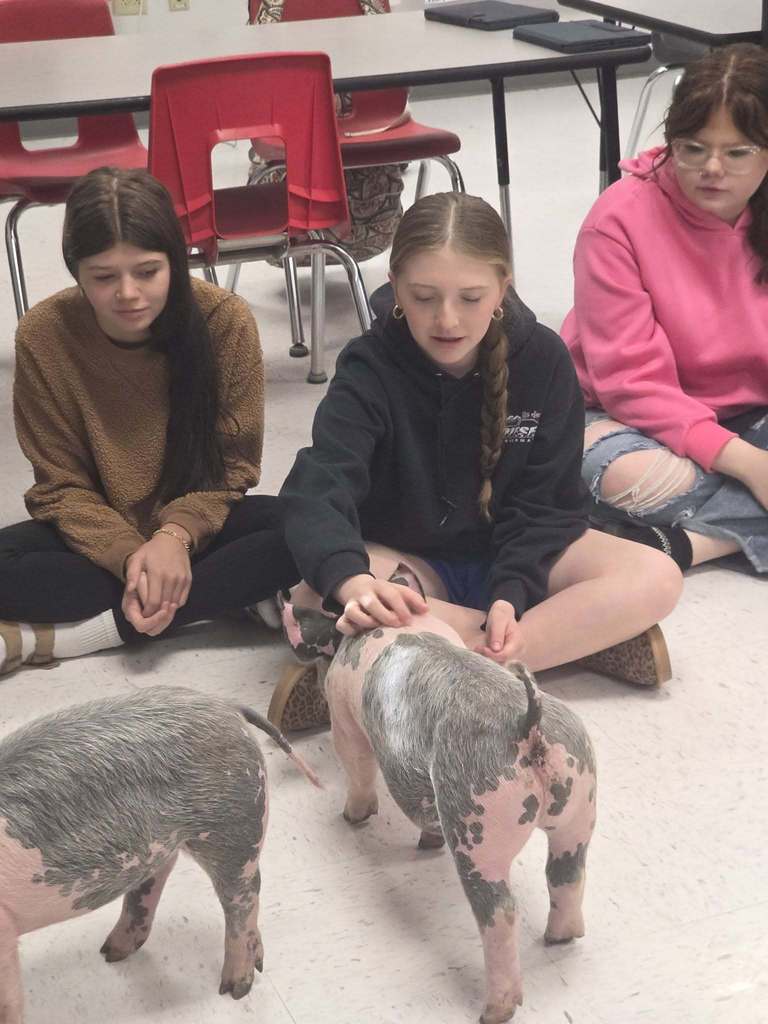 Three students sit cross-legged with two pigs. One pig has pink spots, and the other is gray.