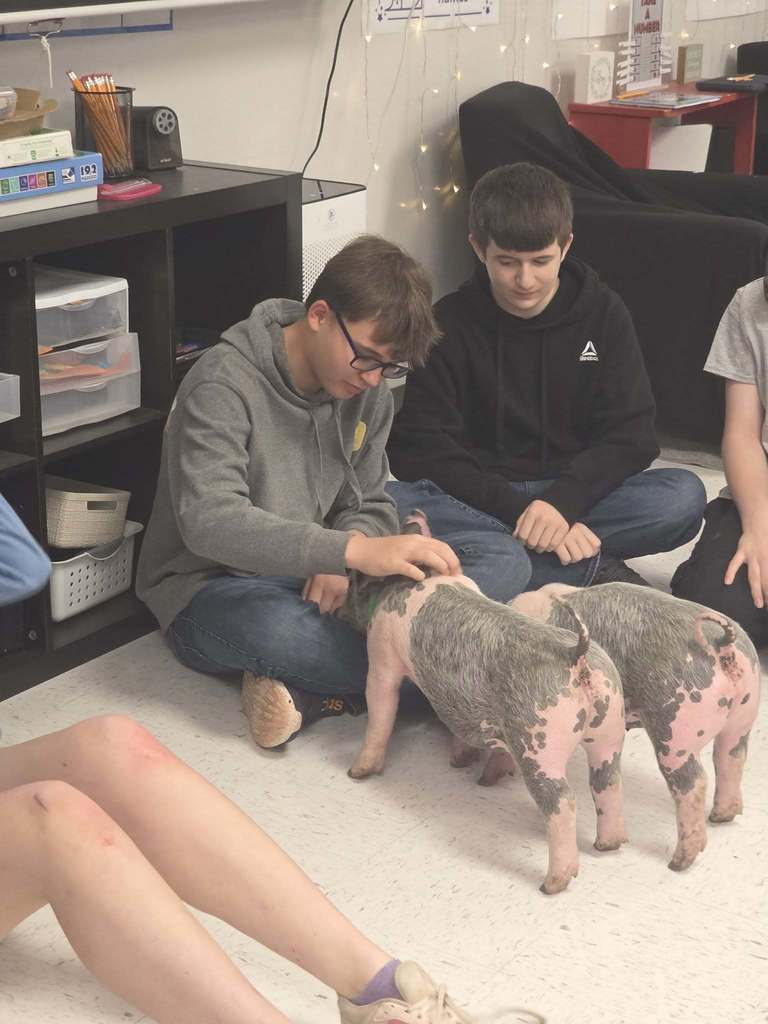 Several individuals sit in a room, with one person interacting with a toy pig. Shelves and a black sofa are in the background.
