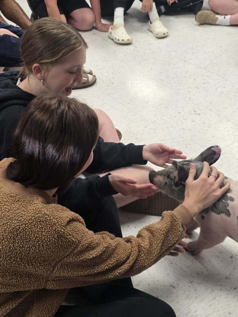 Several people sit on a floor with a pig; two women are holding the pig while others look on.