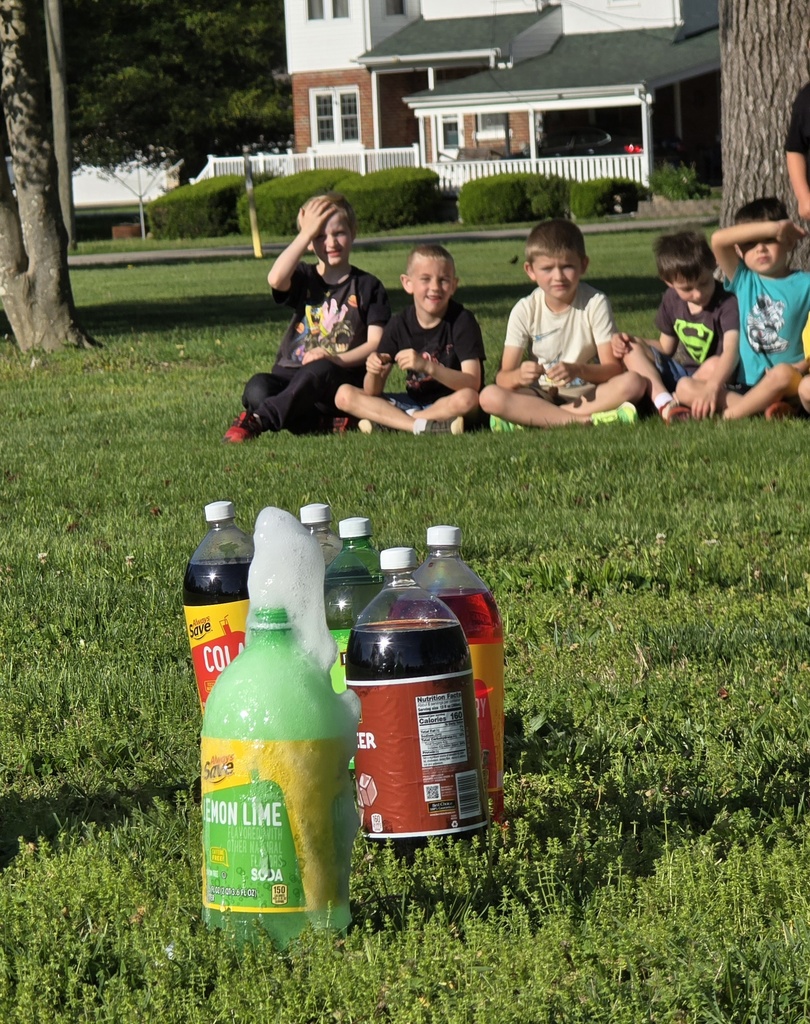 Five kids sit on grass, looking up at a tree, with several soda bottles arranged in front.