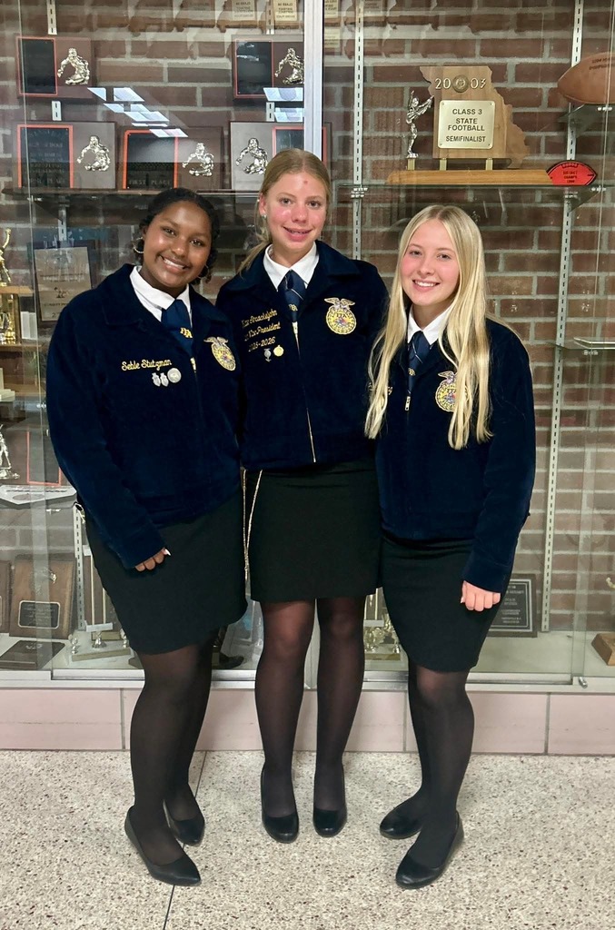 Three young women stand next to each other in school uniforms in front of a brick wall.