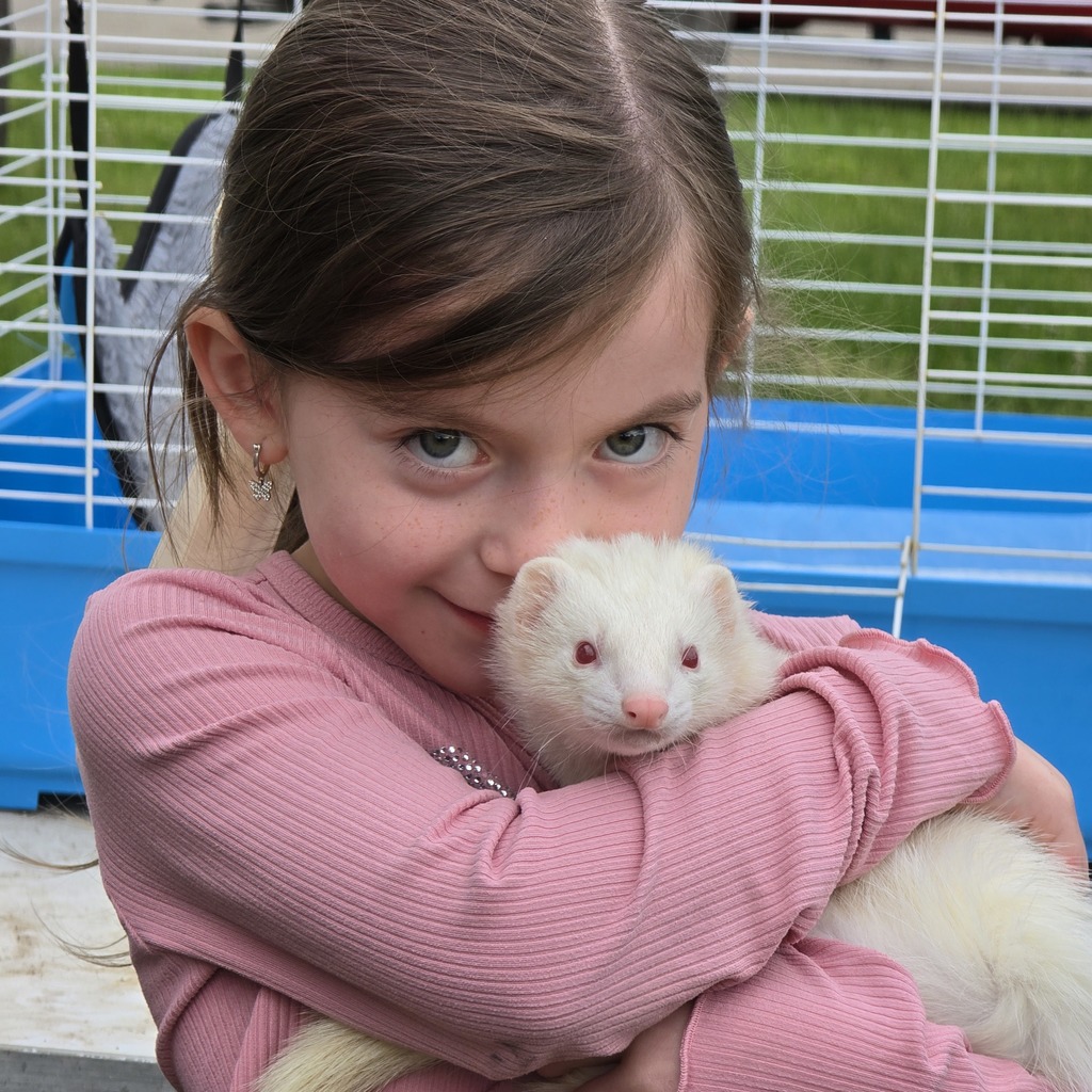 A girl holds a white ferret against her chest, both wearing pink. A blue cage is in the background.