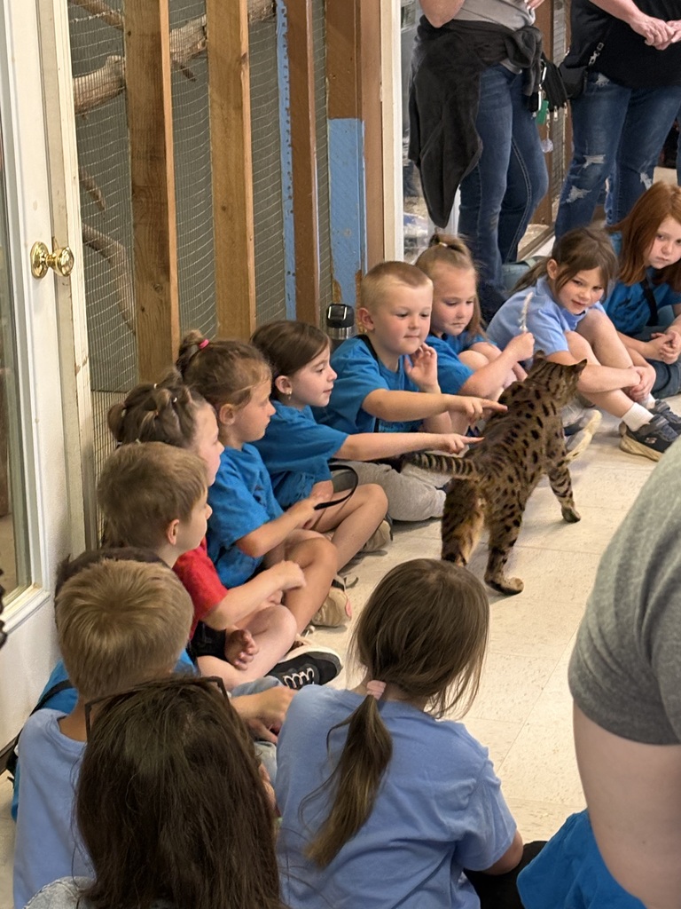 Children in blue shirts sit in a circle around a cat. A woman stands behind them, and another person is partially visible on the right.