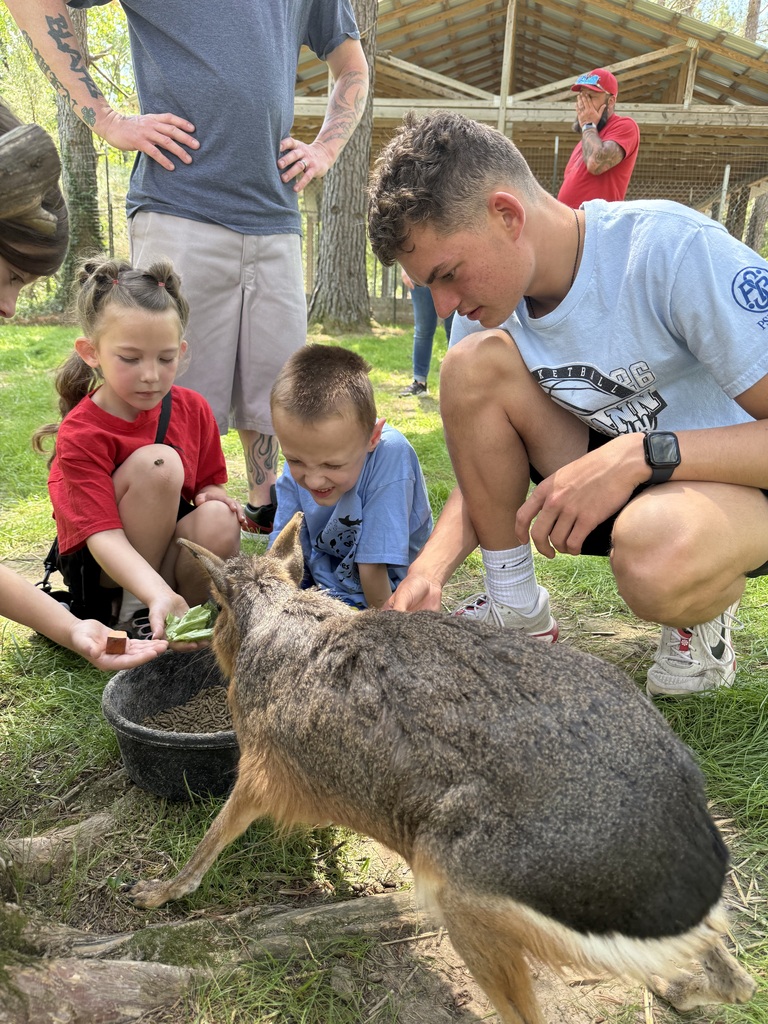 Children and adults kneel down to feed a kangaroo. A person holds a bucket. A building is in the background.