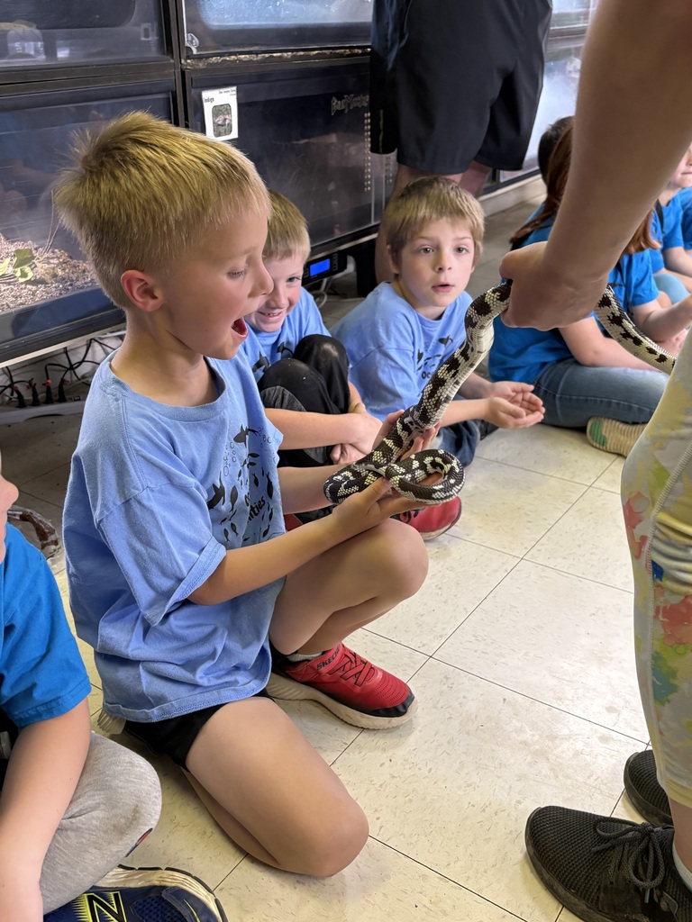 Kids sit in a room holding a snake. One child holds the snake in their hands.