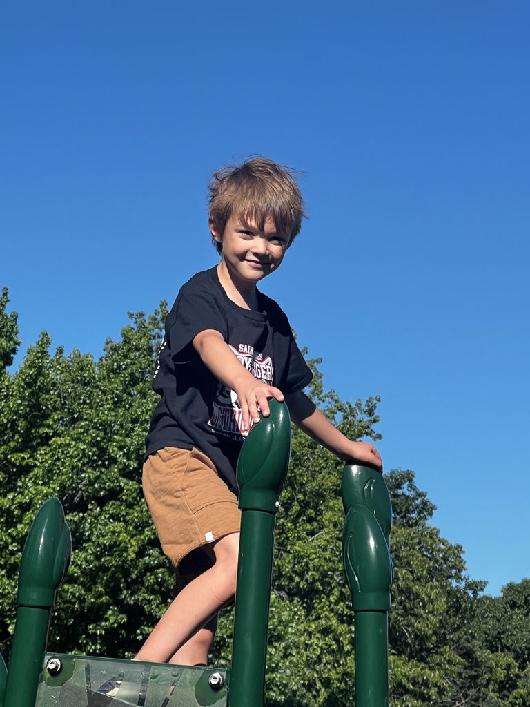 A young boy in a black t-shirt and shorts stands on a playground structure with green bars. Trees are visible in the background.