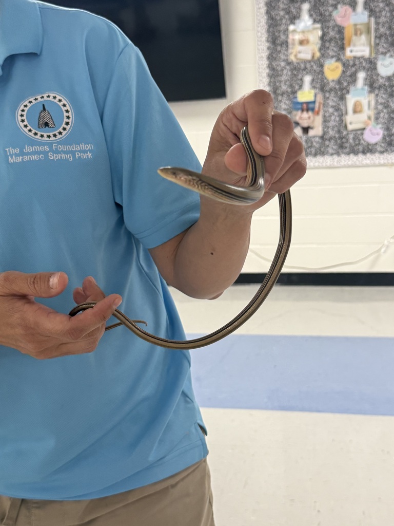 A person in a blue shirt holds a snake in their hands in a classroom.
