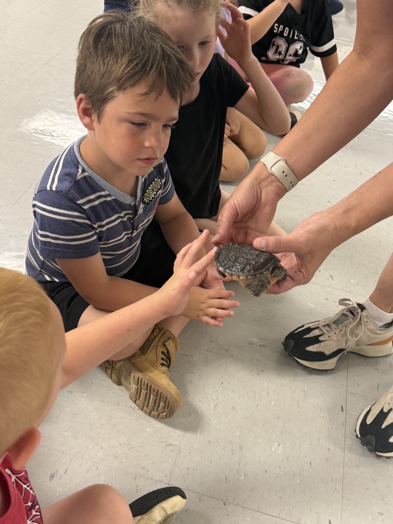 Several children sit on the floor, one holding a turtle, while a person in the foreground holds out their hands.