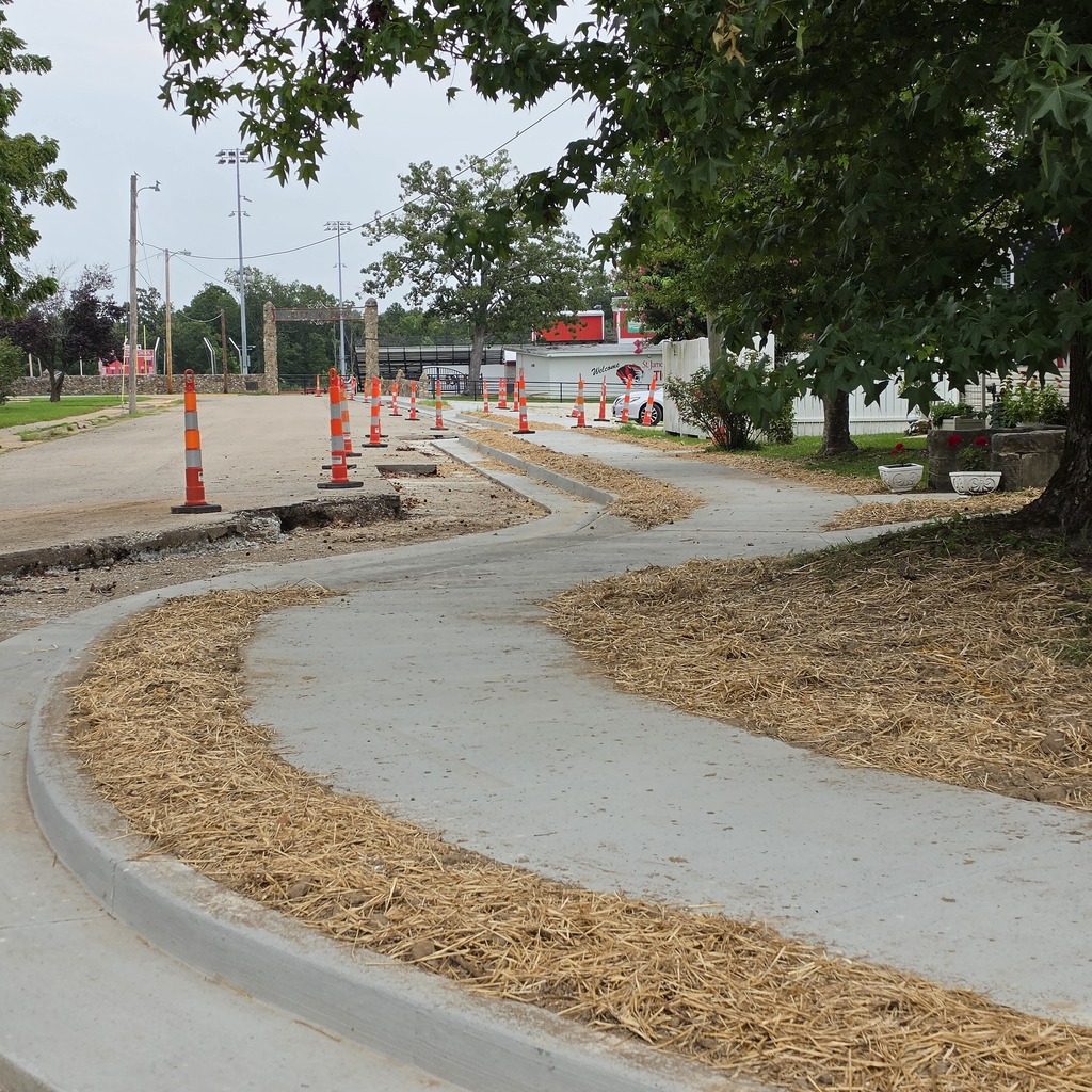 Curved sidewalk with straw covering and orange traffic cones. Trees and shrubs on either side.