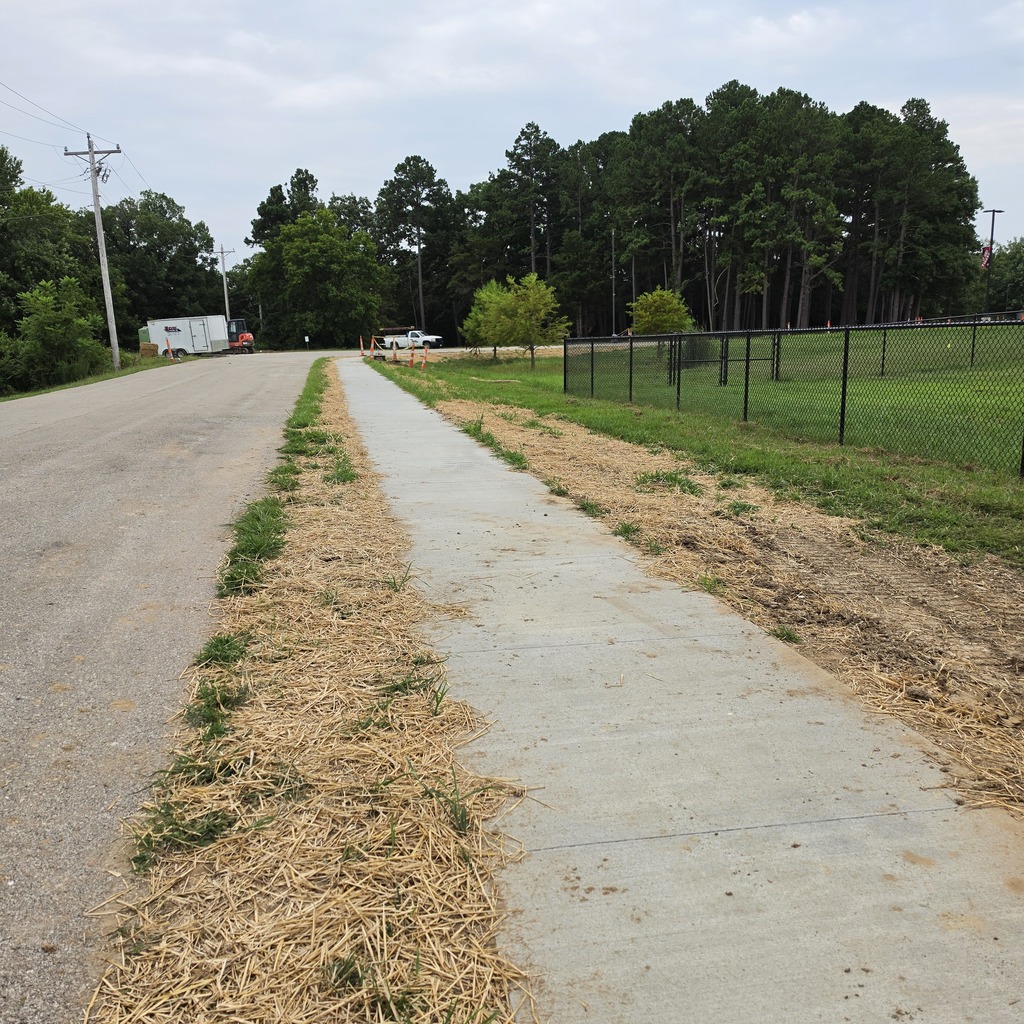 A sidewalk with grass patches borders a road. A black fence runs alongside the sidewalk. Trees and greenery fill the background.