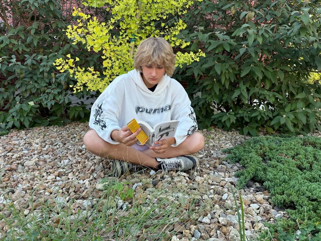 A person sits on gravel, reading a book, surrounded by shrubs and yellow plants.