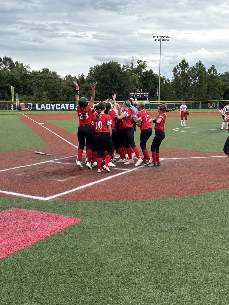 St. James Softball team celebrating Raegan!